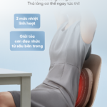 Gối Massage Lưng & Thắt Lưng Breo Back 2